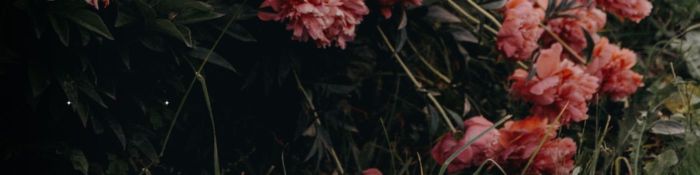 stylish bouquet flower