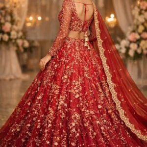 Wedding Saree