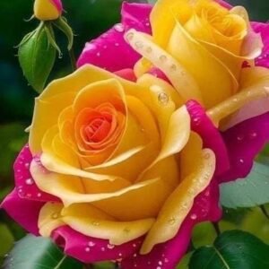 generic organic flower bouquet – elegant handmade floral arrangement for home décor & gifting