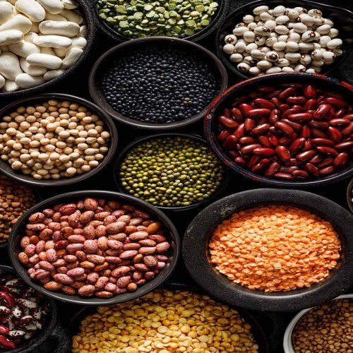 types of beans 58 varieties with pictures (1)